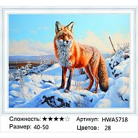 Алмазная мозаика Painting Diamond HWA5718, холст на подрамнике, круглые стразы, 40x50 см