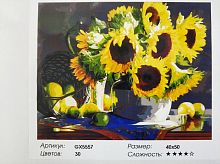 Картина по номерам Paintboy GX5557, холст на подрамнике, 40x50 см