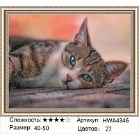Алмазная мозаика Painting Diamond HWA4346 40x50 см, круглые стразы