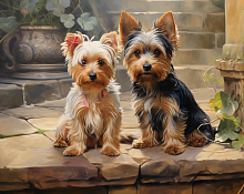 Картина по номерам Paintboy GX46270, холст на подрамнике, 40x50 см