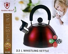Чайник KAISA VILLA со свистком, нержавеющая сталь, объем 2,5 л