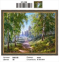 Алмазная мозаика Painting Diamond WB2120, холст на подрамнике, круглые стразы, 40x50 см