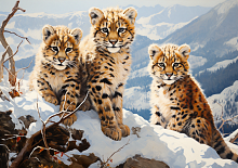 Картина по номерам Paintboy GX46269 40x50 см