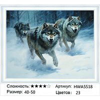 Алмазная мозаика Painting Diamond HWA5518, холст на подрамнике, круглые стразы, 40x50 см