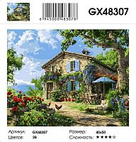 Картина по номерам Paintboy GX48307, холст на подрамнике, 40x50 см