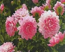 Картина по номерам Paintboy GX27950, холст на подрамнике, 40х50 см