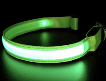 Ошейник светящийся для собак размер L = 2,5 х 40-50 см зеленый