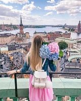 Картина по номерам Paintboy GX29260, холст на подрамнике, 40x50 см