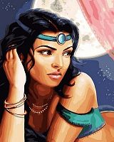 Картина по номерам Paintboy GX30657, холст на подрамнике, 40x50 см