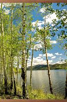 Инфракрасный обогреватель настенный ДО Березки в картонной упаковке