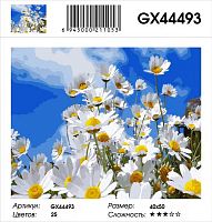 Картина по номерам Paintboy GX44493 40x50 см