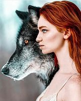 Картина по номерам Paintboy GX36025, холст на подрамнике, 40x50 см