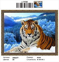 Алмазная мозаика Painting Diamond WB6677, холст на подрамнике, круглые стразы, 40x50 см