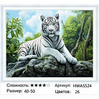 Алмазная мозаика Painting Diamond HWA5524, холст на подрамнике, круглые стразы, 40x50 см
