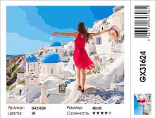 Картина по номерам Paintboy GX31624, холст на подрамнике, 40x50 см