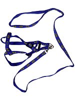 Поводок со шлейкой для кошек и собак PET SUPPLIES 6391, размер 10 мм х 120см, шлейка 24-48 см