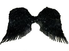 Крылья перьевые черные БОЛЬШИЕ, (перья, картон, резинка), размер 90*65 см