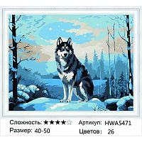 Алмазная мозаика Painting Diamond HWA5471 40x50 см, круглые стразы